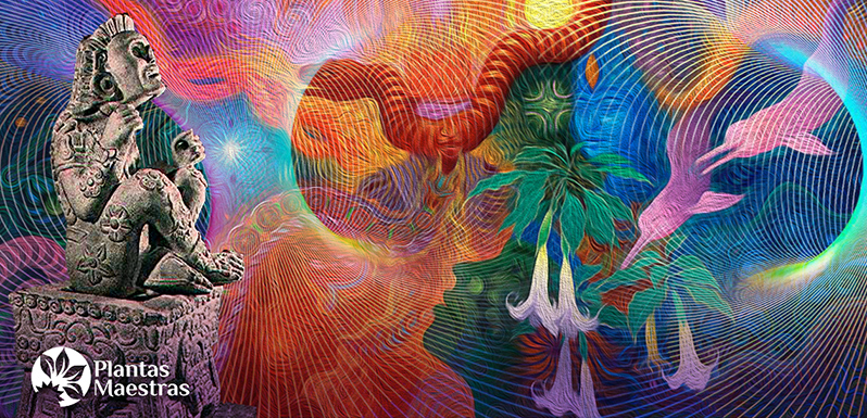 Las Plantas Sagradas Plantas Maestras o plantas de poder