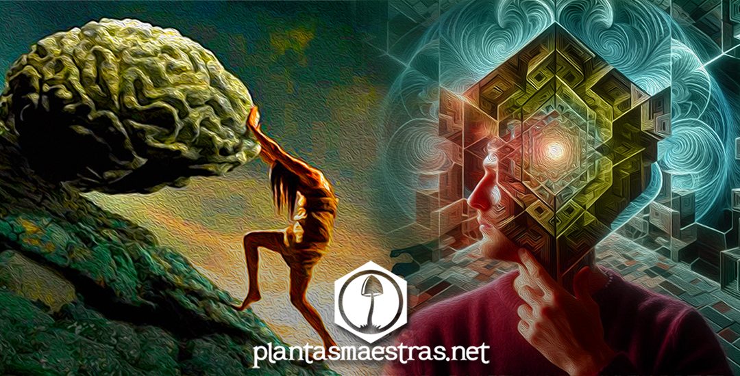 ATRAPADOS EN UN MAR DE CREENCIAS TÓXICAS