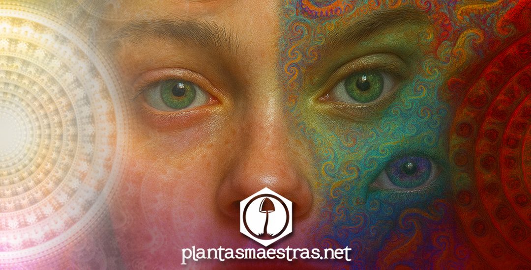 EL SET AND SETTING EN LA EXPERIENCIA CON PSICODÉLICOS