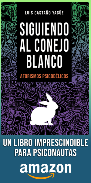 libro SIGIENDO AL CONEJO BLANCO