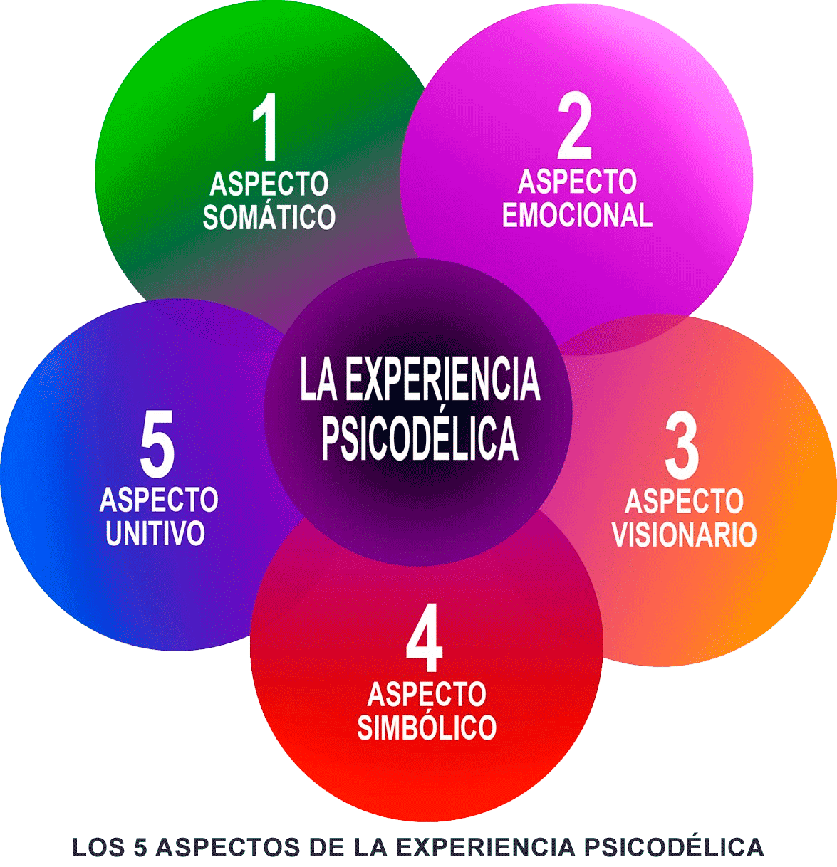 La experiencia psicodélica se puede describir en cinco aspectos o factores que la caracterizan.