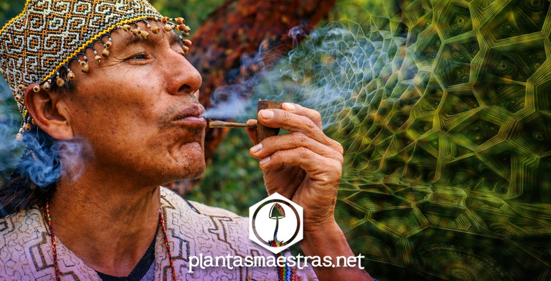 TABACO RITUAL: GUÍA DE USOS Y SIGNIFICADOS