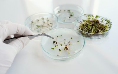 Errores comunes al iniciar una práctica de microdosificación